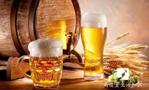 盤錦酒桌規(guī)矩解密 1杯白酒到底等于多少瓶啤酒？